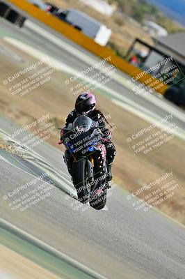 media/Nov-22-2025-2WTD (Sat) [[7eb050eb5f]]/C Group/Session 4 (Turn 9)/